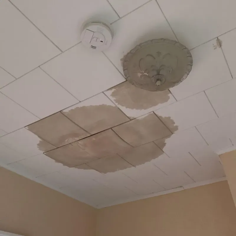 Ceiling Water Damage Repair in Cedar County, MO