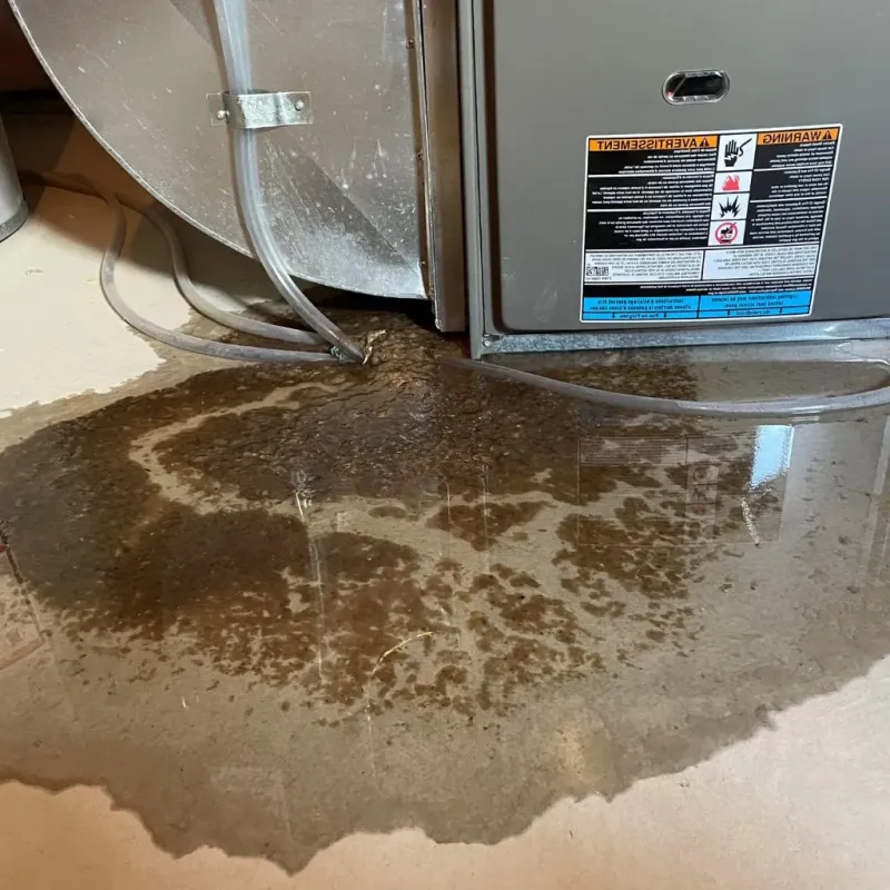 Pipe Burst and Leak Restoration in Cedar County, MO