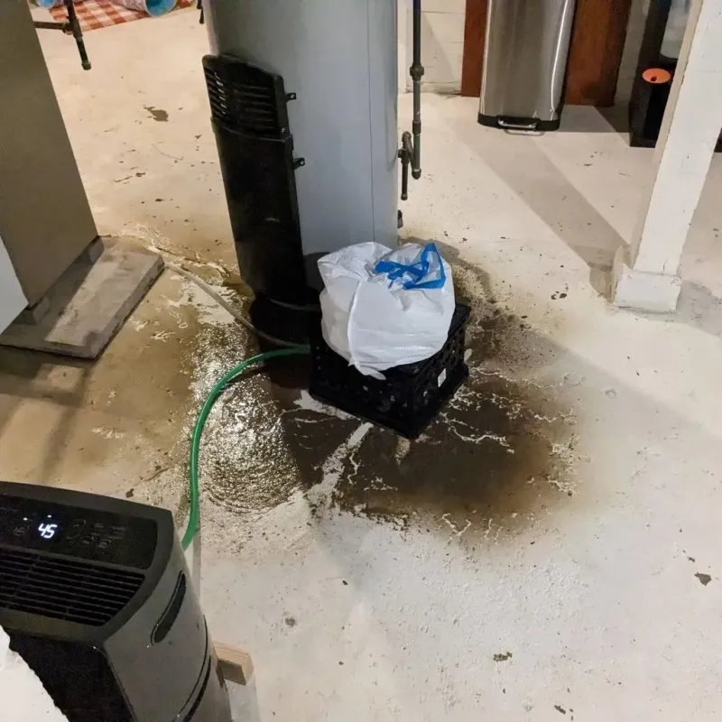 Sewage Backup Cleanup Service in Cedar County, MO